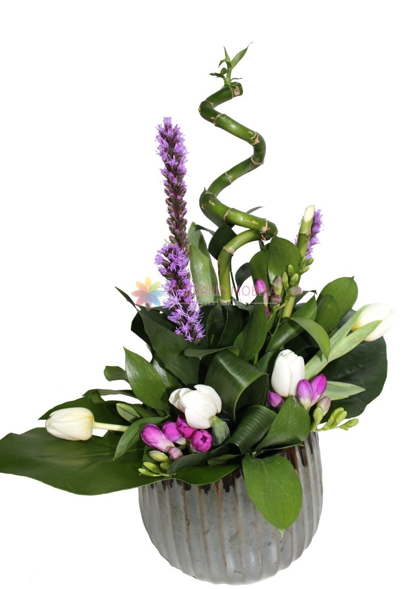 Aranjament Liatris Bambus Si Lalele La 199 Lei Floraria Mobila