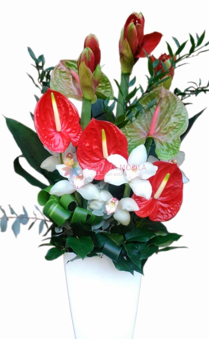 Aranjament Orhidee Amarilis Si Anthurium 349 Lei Floraria Mobila