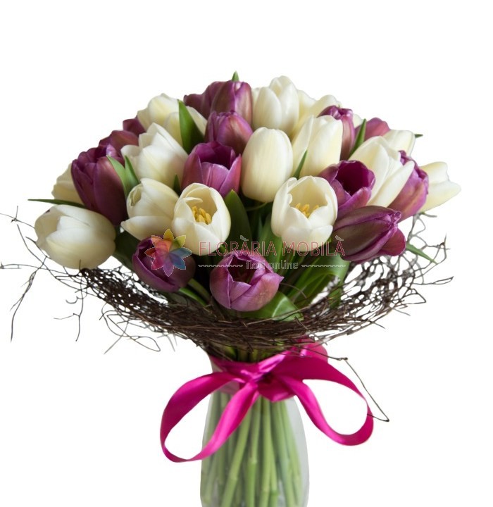 Buchet 41 Lalele Colorate La 269 Lei Floraria Mobila