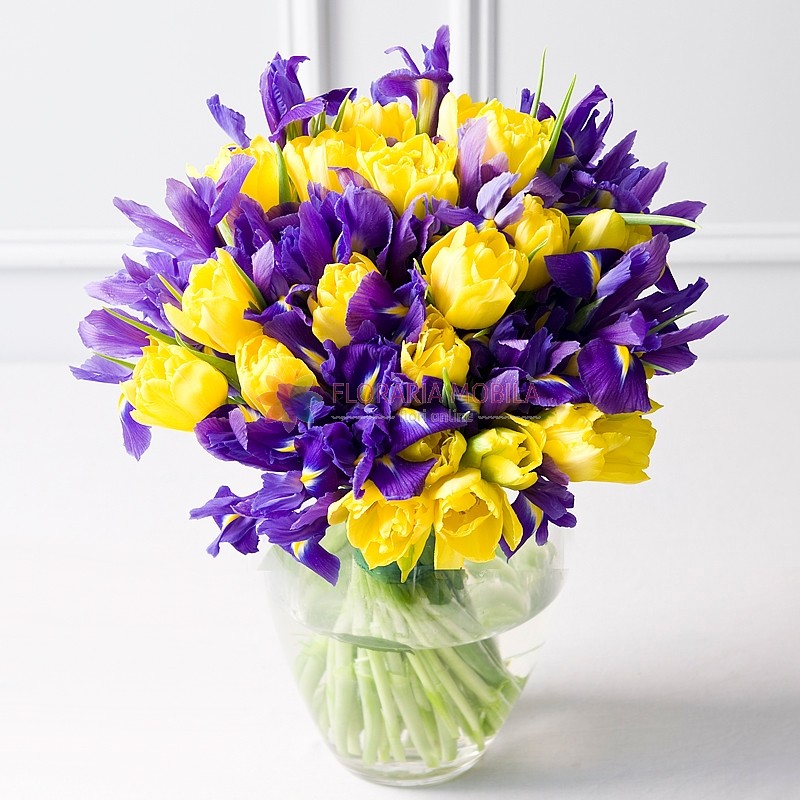 Buchet Cu Lalele Si Irisi La 245 Lei Floraria Mobila