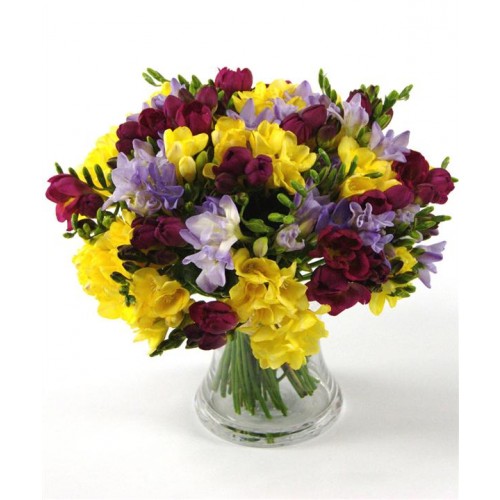 buchet cu 49  frezii multicolore