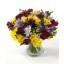 buchet cu 49  frezii multicolore