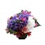 buchet flori din hortensie, trandafiri, frezii si alstroemeria